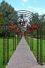 ПЕРГОЛА